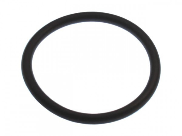 O-Ring Füllleitung Werit
