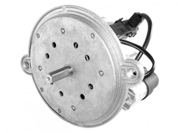 Motor f. Giersch R1 alt