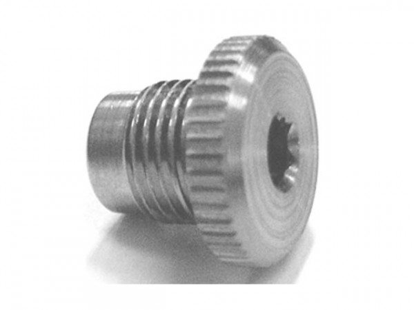 Stopfen f.BFP-Pumpe (p/v)