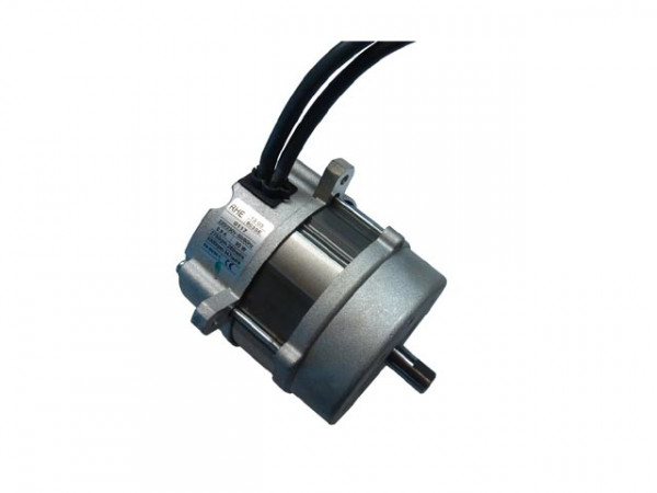 Motor f.Riello Gulliver RG02 .