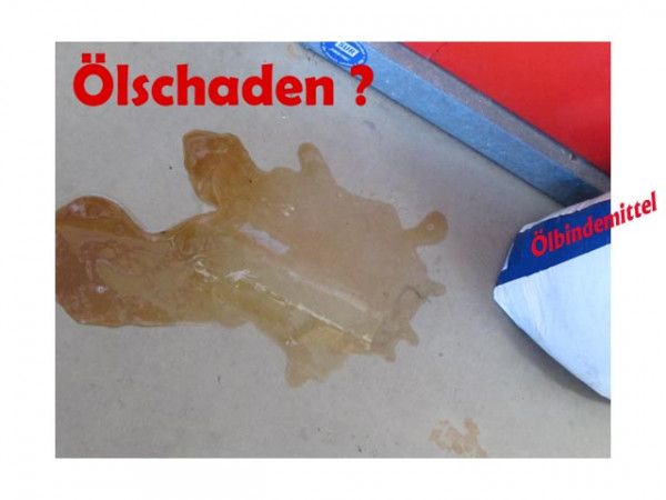 Ölbindemittel "Bisorb" 20kg